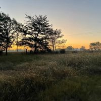 96 Acre Homestead in Lawrence County AL images 2