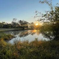 96 Acre Homestead in Lawrence County AL images 3