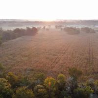 96 Acre Homestead in Lawrence County AL images 5