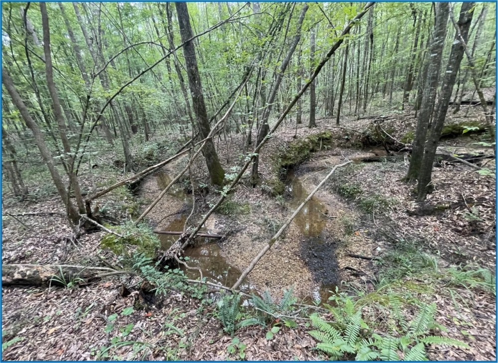 20 Acres in Copiah County in Hazlehurst MS featured image