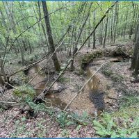 20 Acres in Copiah County in Hazlehurst MS