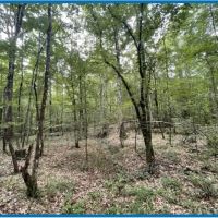 20 Acres in Copiah County in Hazlehurst MS images 2