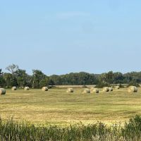 103.79 Acres - more or less Antelope County NE images 2