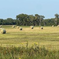 103.79 Acres - more or less Antelope County NE images 3