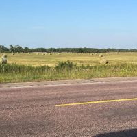 103.79 Acres - more or less Antelope County NE images 4