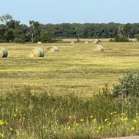 103.79 Acres - more or less Antelope County NE images 5