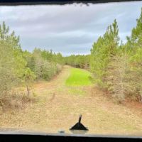 172 Acres Knoxo Columbia Road