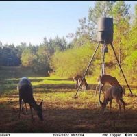 172 Acres Knoxo Columbia Road images 2