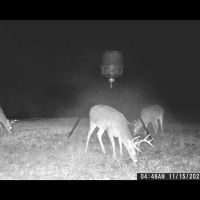 172 Acres Knoxo Columbia Road images 4