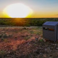 CBarJ Ranch 640 Acres Childress County images 2