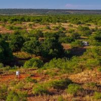 CBarJ Ranch 640 Acres Childress County images 3