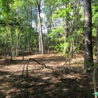 18 ac - Timberland with Home Site Potential