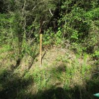 18 ac - Timberland with Home Site Potential images 5