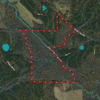 Webster County 177 Acre Hunting and Timber Investment images 2