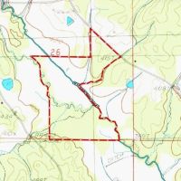 Webster County 177 Acre Hunting and Timber Investment images 4
