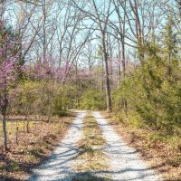 Deans Ford Acres images 4