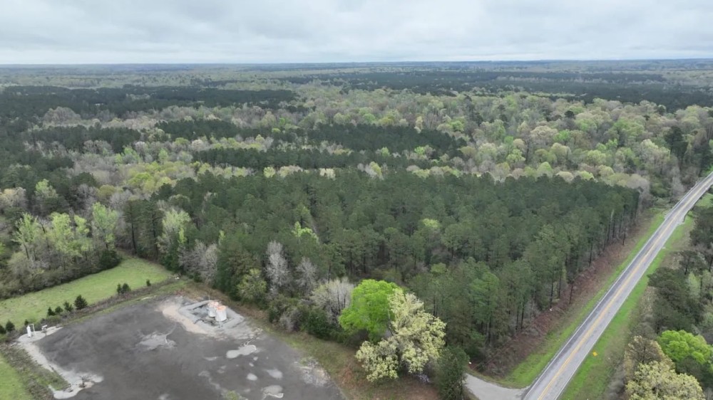 Longstreet Tract DeSoto Parish 304.4 Acres - featured image