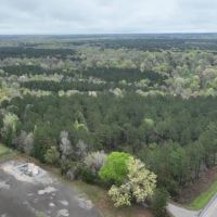 Longstreet Tract DeSoto Parish 304.4 Acres -