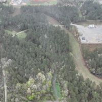 Longstreet Tract DeSoto Parish 304.4 Acres - images 2