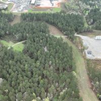Longstreet Tract DeSoto Parish 304.4 Acres - images 3