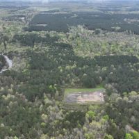 Longstreet Tract DeSoto Parish 304.4 Acres - images 4