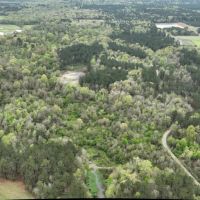 Longstreet Tract DeSoto Parish 304.4 Acres - images 5