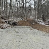Workman Rd Fayette County - 24 Acres images 4