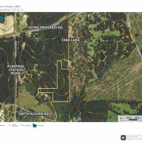 7.43 Wooded Acres in SW MS images 1
