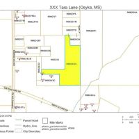 7.43 Wooded Acres in SW MS images 3