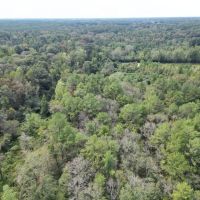 7.43 Wooded Acres in SW MS images 4