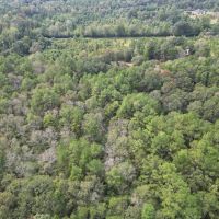 7.43 Wooded Acres in SW MS images 5