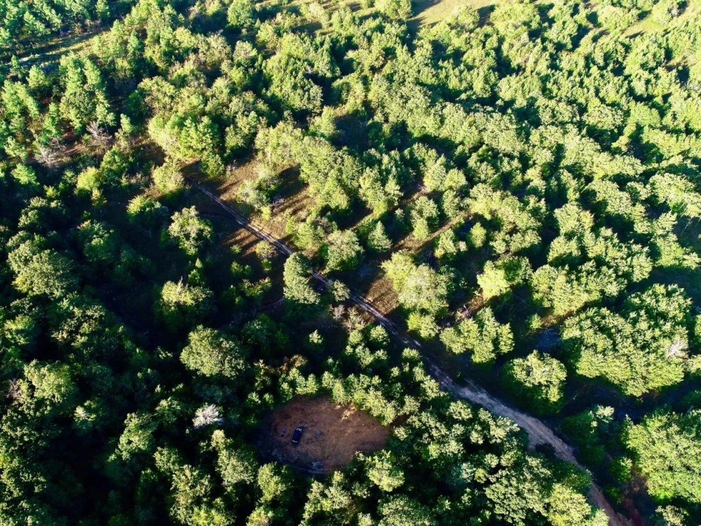 Pat Mayse WMA- 62 - Acres featured image