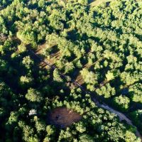Pat Mayse WMA- 62 - Acres