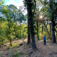 Pat Mayse WMA- 62 - Acres images 4