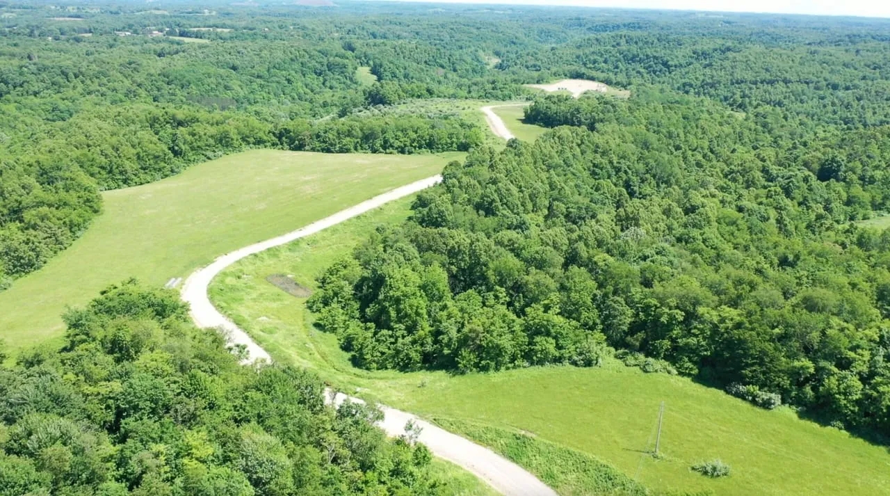 Everett Turner Dory Rd 270 acres Belmont County Hunting Land for
