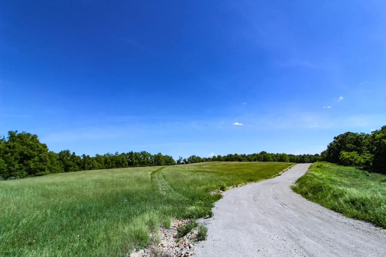 Everett Turner Dory Rd 270 acres Belmont County Hunting Land for