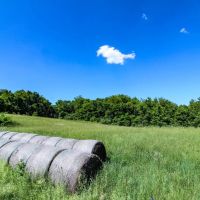 Everett Turner Dory Rd - 270 acres - Belmont County images 3