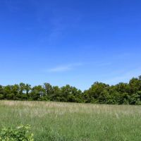 Everett Turner Dory Rd - 270 acres - Belmont County images 4