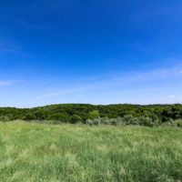 Everett Turner Dory Rd - 270 acres - Belmont County images 5