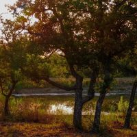 The Hideout images 2