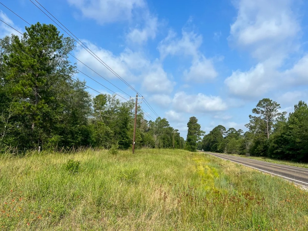 570 Acres FM 2989 T-271006-1 featured image