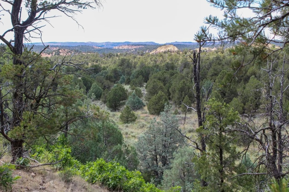 Narranjo Creek - Hidden 20 featured image