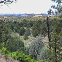 Narranjo Creek - Hidden 20