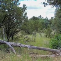 Narranjo Creek - Hidden 20 images 5