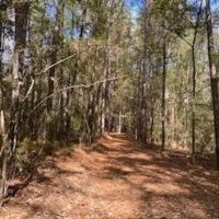 Turnkey 26.5 Acres for Sale in Clinton LA