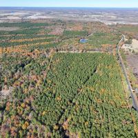 17 Acres Hwy 37 T-5 Kiskadee images 3