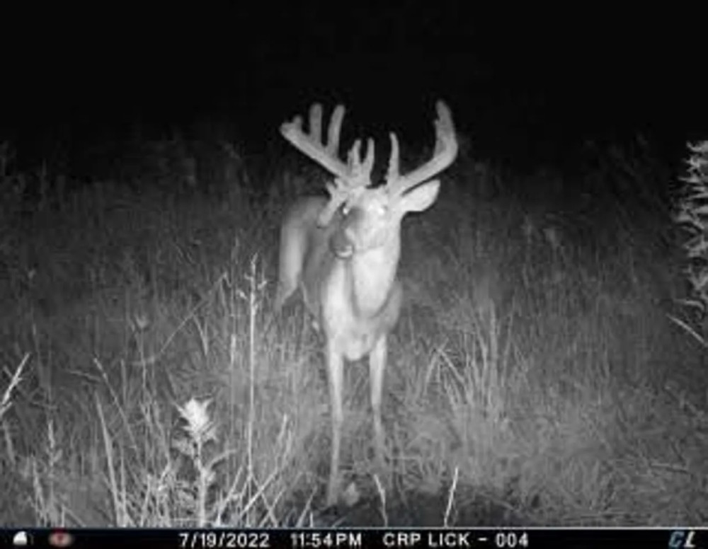 North Missouri Whitetails featured image