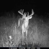 North Missouri Whitetails