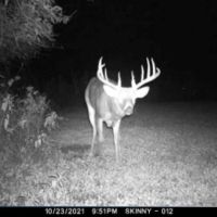 North Missouri Whitetails images 4