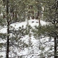 Kuman Creek Hideaway images 3